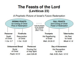 Leviticus 23 Feasts Chart